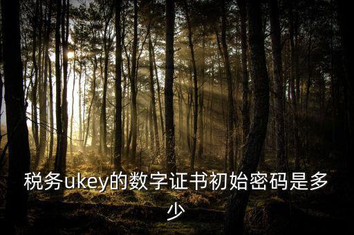 稅務ukey的數(shù)字證書初始密碼是多少