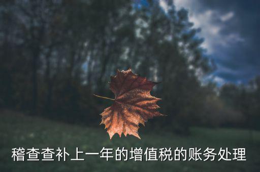 稽查補什么稅，請問被國稅局稽查局查處補交增值稅所得稅及滯納金計入應哪個科目