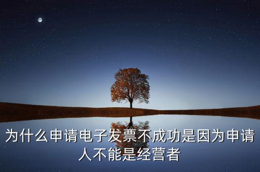 發(fā)票網上申領失敗什么原因，電子發(fā)票網上申領結果是2