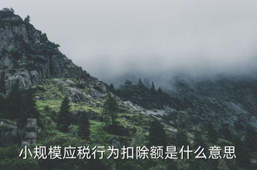小規(guī)模應稅行為扣除額是什么意思