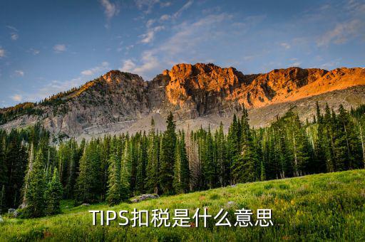 什么叫tips扣款，tips扣款和大廳扣款區(qū)別