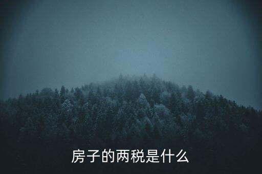 兩稅清查是指什么，房子的兩稅是什么