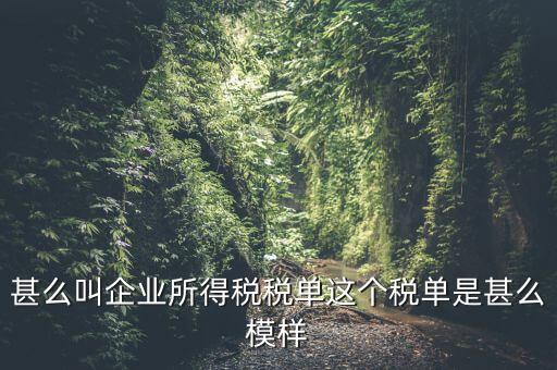 企業(yè)所得稅稅單是什么，稅單是什么怎樣提供稅單