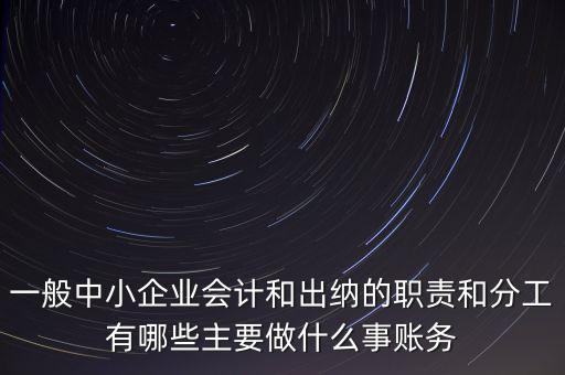 一般中小企業(yè)會計(jì)和出納的職責(zé)和分工有哪些主要做什么事賬務(wù)