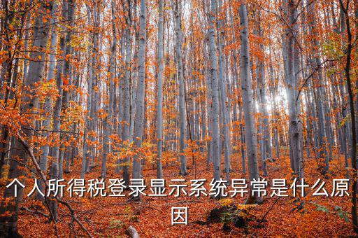 個(gè)人所得稅登錄顯示系統(tǒng)異常是什么原因