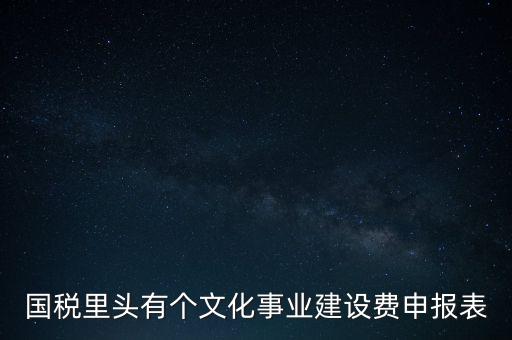 國稅里頭有個文化事業(yè)建設費申報表