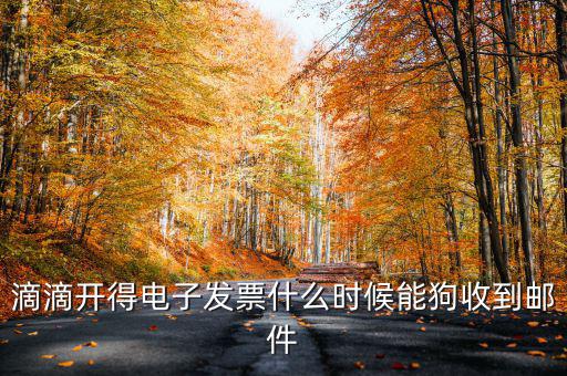 滴滴開得電子發(fā)票什么時(shí)候能狗收到郵件