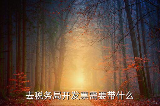 開票需要會(huì)什么手續(xù)，開發(fā)票的具體流程