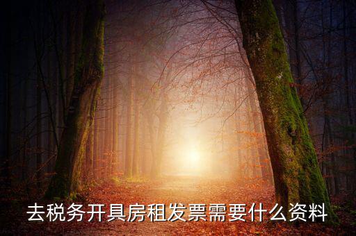 去稅務開具房租發(fā)票需要什么資料