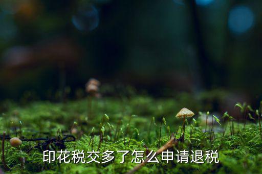 印花稅交多了怎么申請(qǐng)退稅