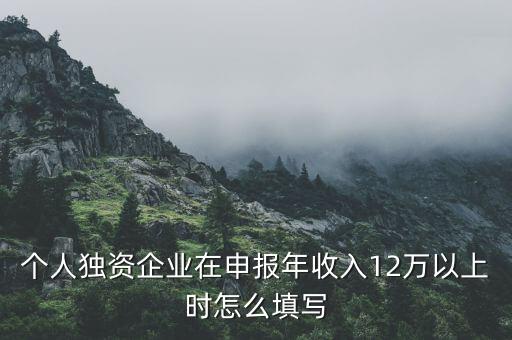 個(gè)人獨(dú)資企業(yè)在申報(bào)年收入12萬以上時(shí)怎么填寫