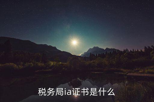 稅收數(shù)字證書是什么，什么是稅務(wù)局的CA證書