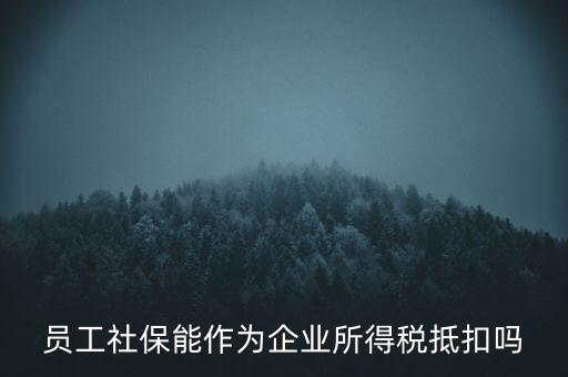 企業(yè)社保可以抵什么稅，員工社保能作為企業(yè)所得稅抵扣嗎