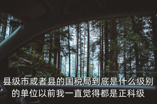 縣國稅局辦稅服務(wù)廳主任是什么級別，縣地稅局辦公室主任是什么行政級別