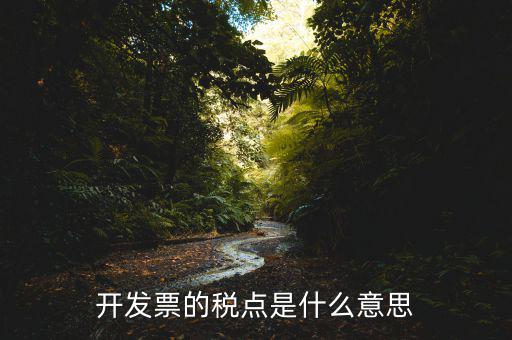 開票加稅點(diǎn)是什么意思，加稅點(diǎn)什么意思舉個(gè)例子