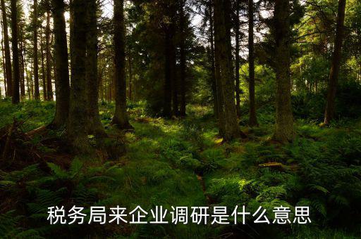 稅務局走訪企業(yè)一般干什么，稅務局來查公司的話是查什么方面啊