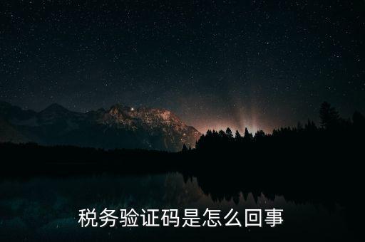 網(wǎng)上稅務局下載碼是什么意思，湖北省電子稅務局下載uk驅動二維碼是什么意思