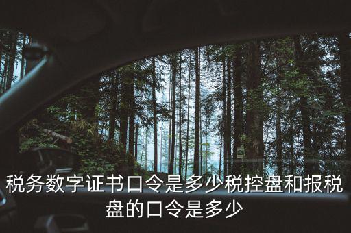 國稅證書口令是什么，我想問下國家稅務(wù)網(wǎng)上申報(bào)點(diǎn)擊安全登錄時(shí)出現(xiàn)的用戶口令是什么