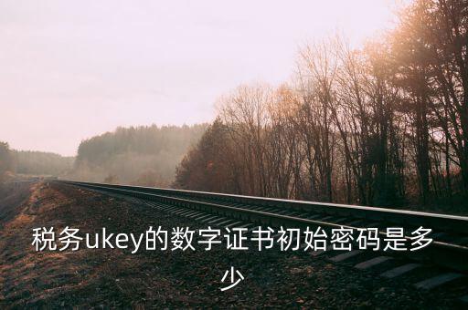 稅務(wù)ukey的數(shù)字證書初始密碼是多少