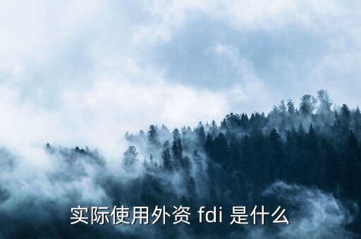 fdi是什么認證，F(xiàn)DI指什么