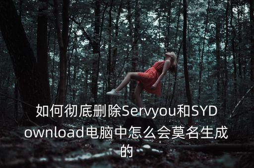 Servyou是什么文件夾，怎么刪除這個稅友軟件每次開機就自動運行而且不知道他的文件