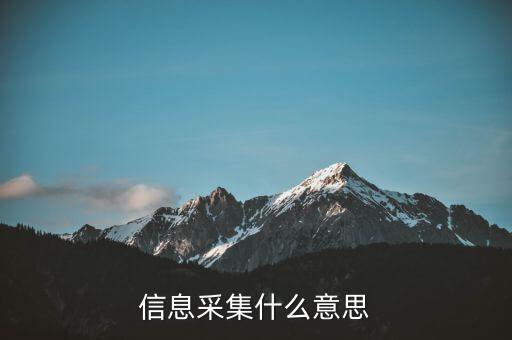 信息采集什么意思