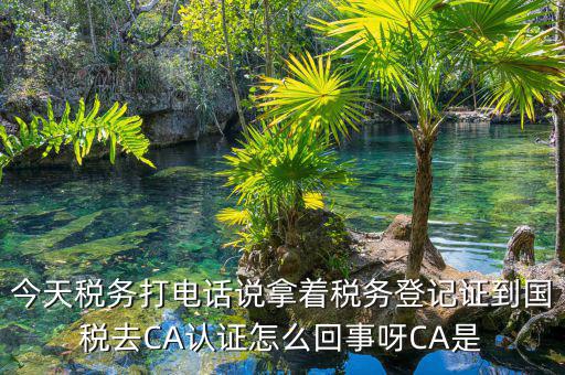 電子稅務(wù)局什么是ca登錄，網(wǎng)上報稅CA驗證系統(tǒng)是甚么