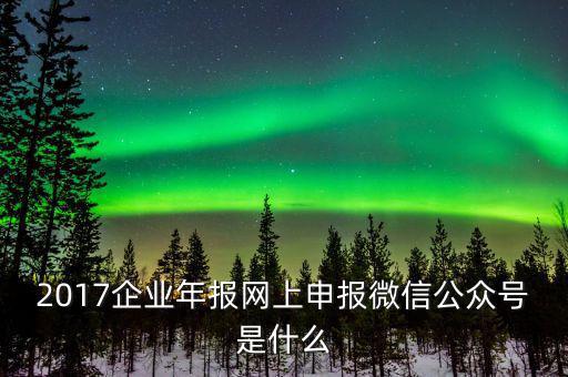 企業(yè)申報(bào)客戶端是什么意思，2017企業(yè)年報(bào)網(wǎng)上申報(bào)微信公眾號(hào)是什么