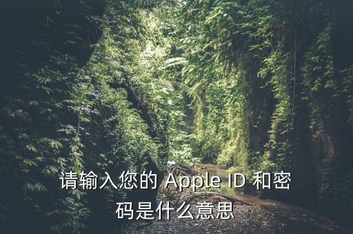 查詢個(gè)稅 密碼是輸入什么，請(qǐng)輸入您的 Apple ID 和密碼是什么意思