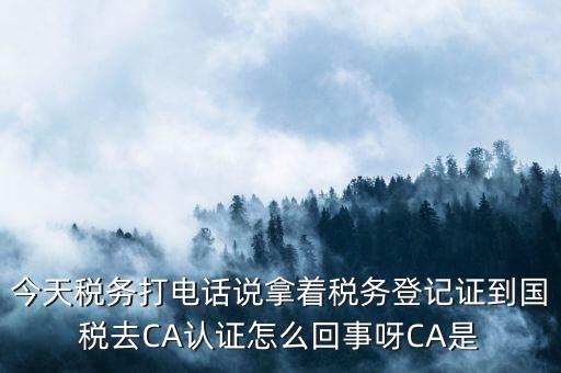 今天稅務(wù)打電話說(shuō)拿著稅務(wù)登記證到國(guó)稅去CA認(rèn)證怎么回事呀CA是