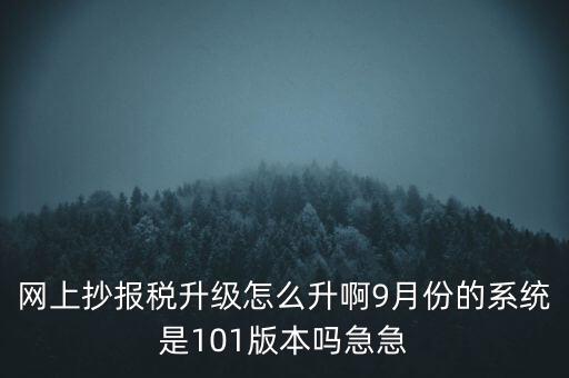 網(wǎng)上抄報(bào)稅升級(jí)怎么升啊9月份的系統(tǒng)是101版本嗎急急