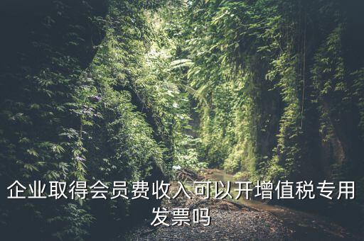 企業(yè)取得會(huì)員費(fèi)收入可以開(kāi)增值稅專用發(fā)票嗎