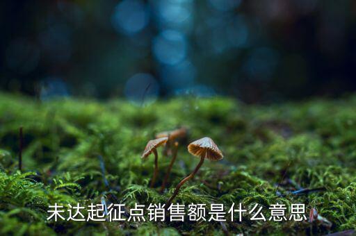 未達(dá)起征點(diǎn)銷售額是什么意思，未達(dá)起征點(diǎn)銷售額是什么意思