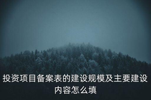 投資項目備案表的建設規(guī)模及主要建設內容怎么填