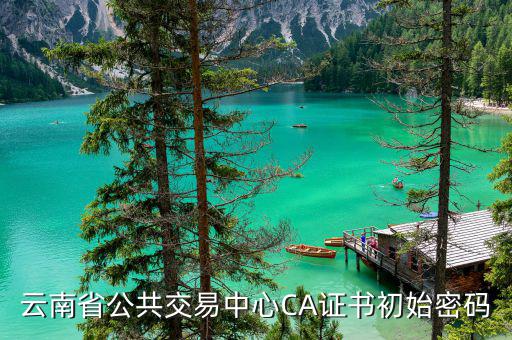 ca證書的原始密碼是什么，云南省公共交易中心CA證書初始密碼