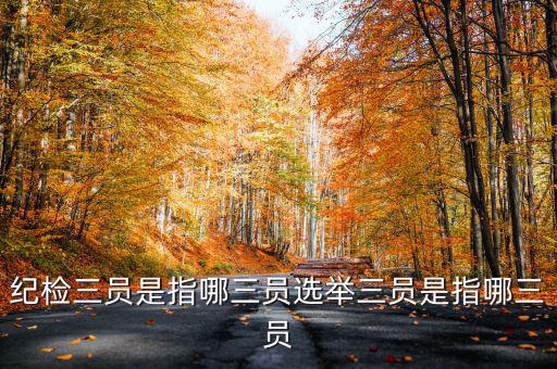 稅務(wù)中的三員是什么意思，納稅人實名采集法人實名采集什么意思納稅實名制