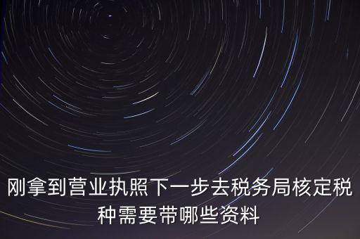 湖北國(guó)稅增加稅種需要帶什么資料，企業(yè)報(bào)稅種需要帶什么資料