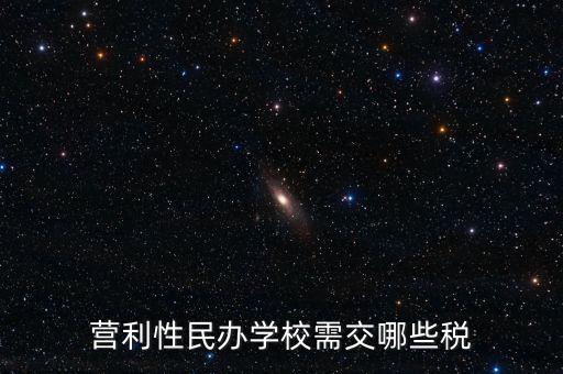 營利性民辦學(xué)校需交哪些稅