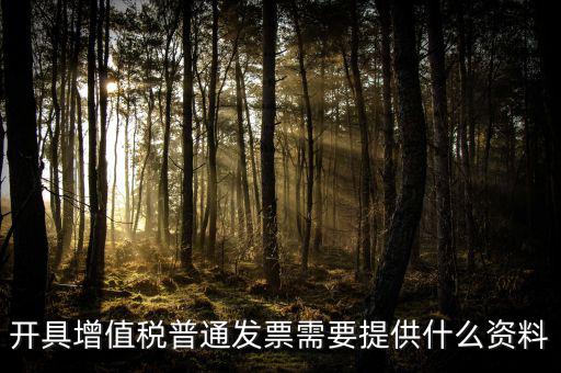 開增值稅提供什么資料，開具增值稅普通發(fā)票需要提供什么資料