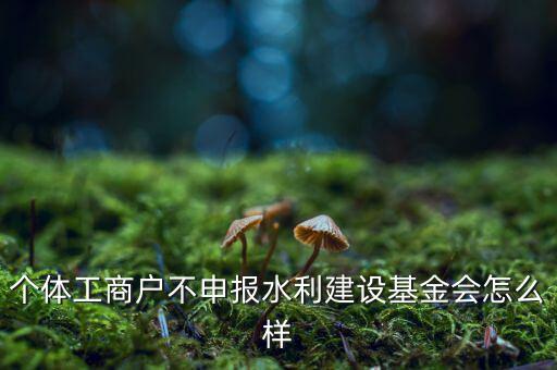 水利基金不報有什么后果，水利建設(shè)基金計稅當(dāng)月沒報有影響嗎