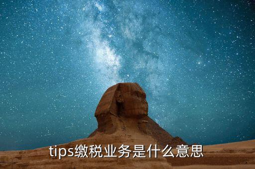 地稅tips繳款是什么意思，tips扣稅是什么意思