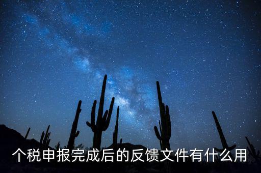 個稅申報完成后的反饋文件有什么用