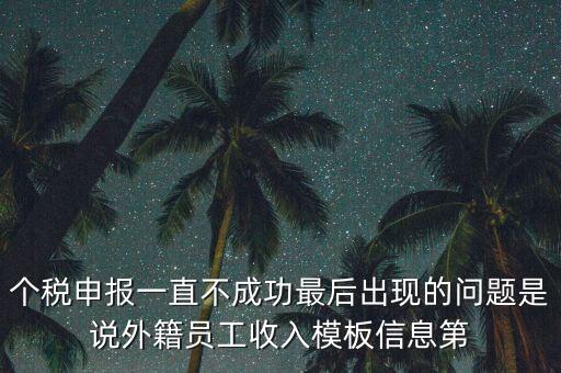 個稅申報一直不成功最后出現(xiàn)的問題是說外籍員工收入模板信息第