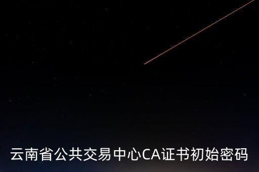 ca原始密碼登錄是什么，蘇州投標(biāo)ca初始密碼