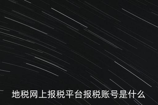 地稅網(wǎng)上報(bào)稅平臺(tái)報(bào)稅賬號(hào)是什么