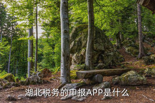 湖北稅務(wù)的申報(bào)APP是什么