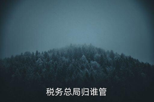 什么部門監(jiān)管國稅務局，稅務局最怕什么部門