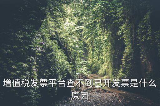 增值稅發(fā)票平臺查不到已開發(fā)票是什么原因