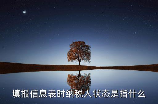 填報信息表時納稅人狀態(tài)是指什么