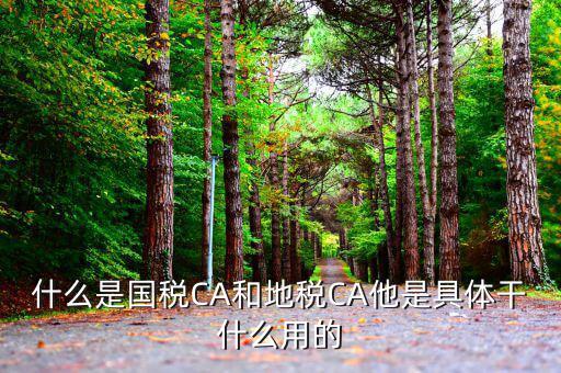 什么是國(guó)稅CA和地稅CA他是具體干什么用的